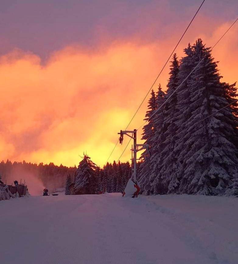 Woodside Apartment M Kopaonik Free Parking Екстериор снимка