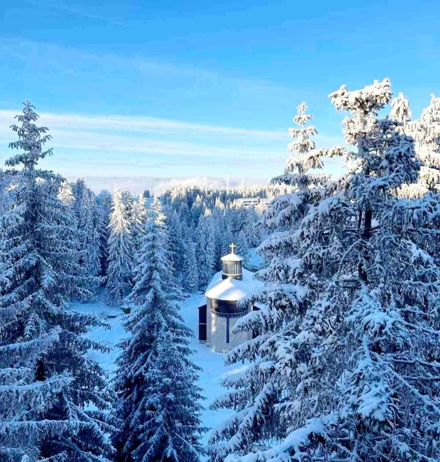 Woodside Apartment M Kopaonik Free Parking Екстериор снимка