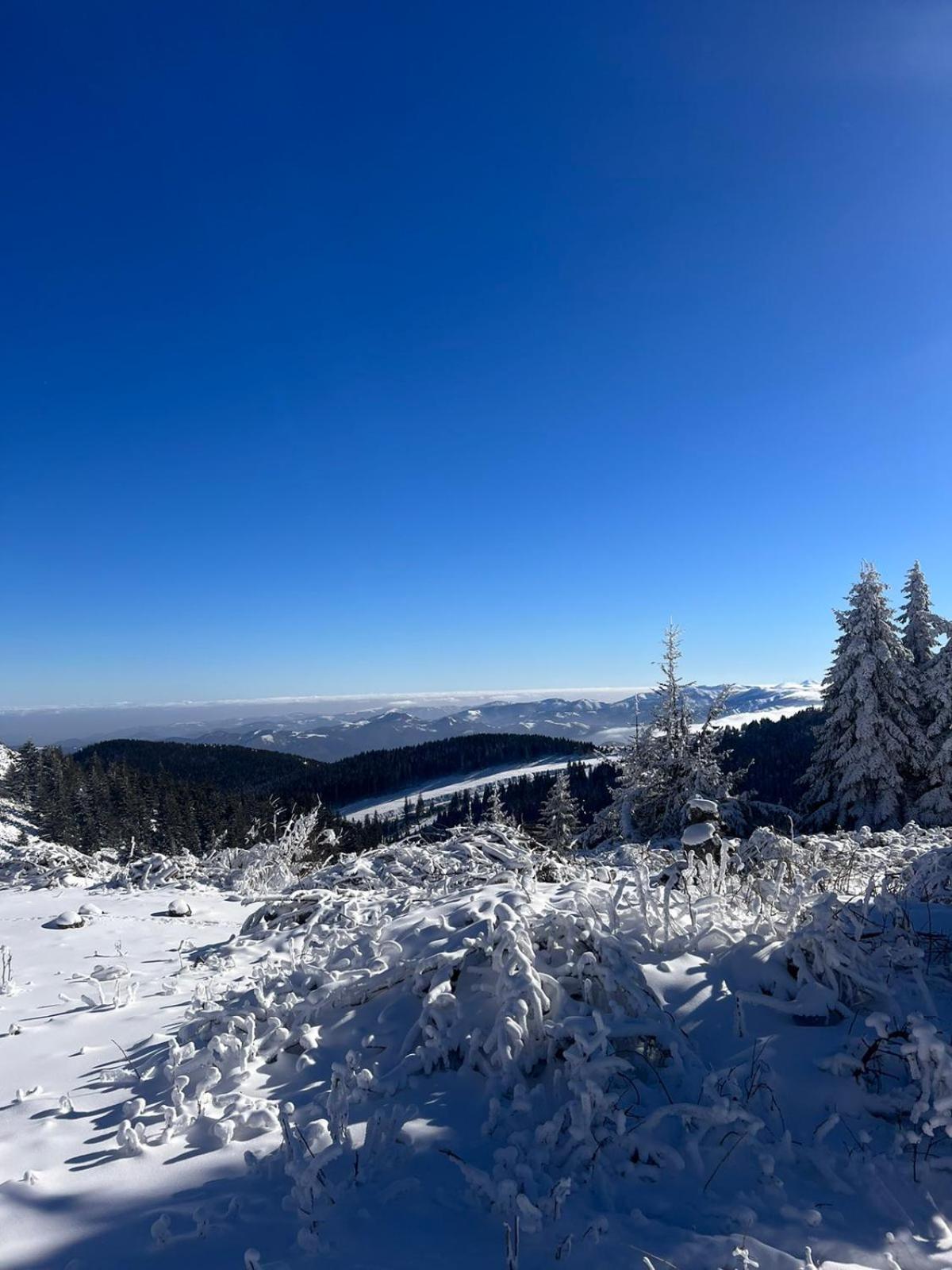 Woodside Apartment M Kopaonik Free Parking Екстериор снимка