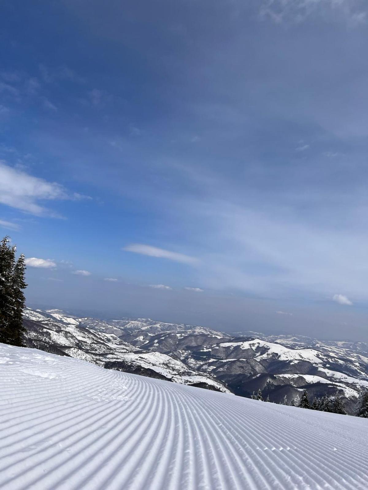Woodside Apartment M Kopaonik Free Parking Екстериор снимка