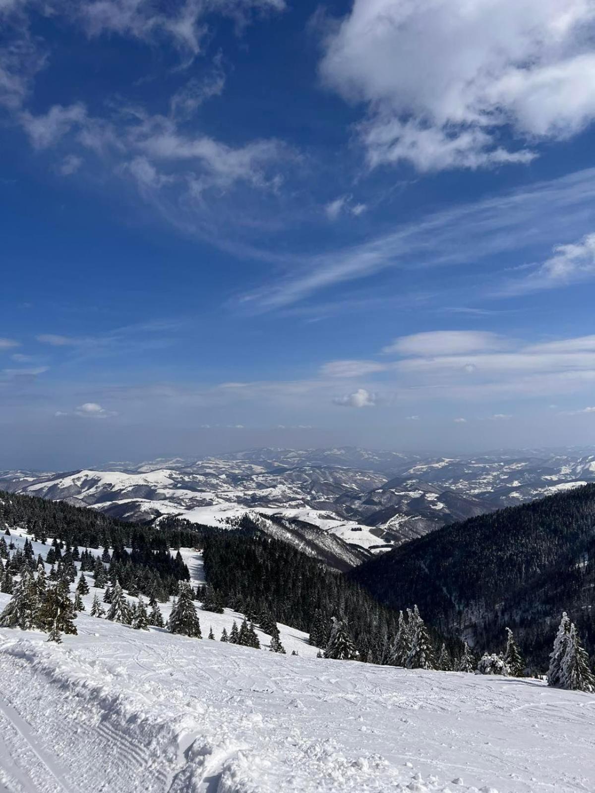 Woodside Apartment M Kopaonik Free Parking Екстериор снимка