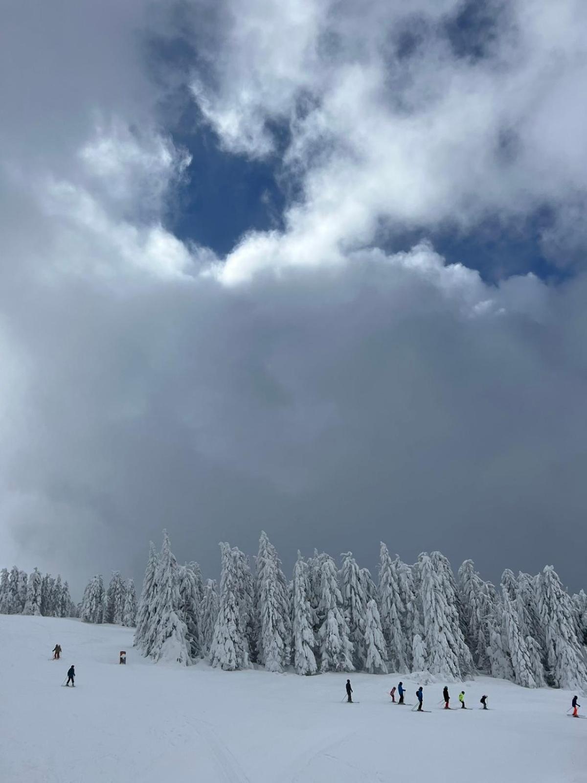 Woodside Apartment M Kopaonik Free Parking Екстериор снимка