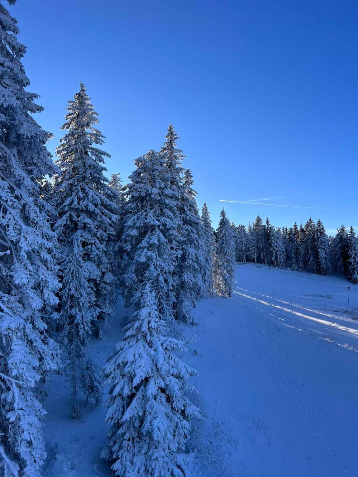 Woodside Apartment M Kopaonik Free Parking Екстериор снимка
