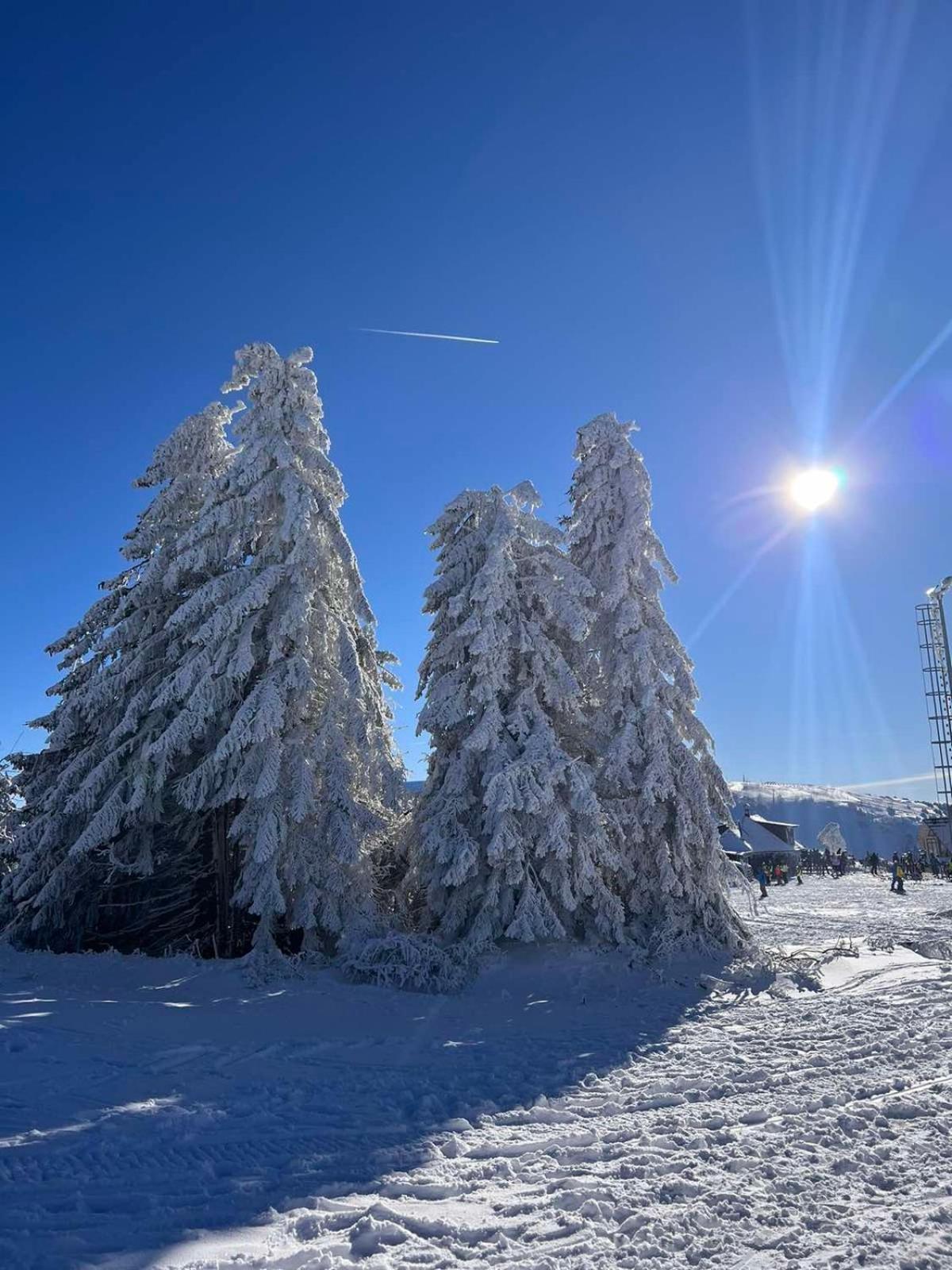 Woodside Apartment M Kopaonik Free Parking Екстериор снимка